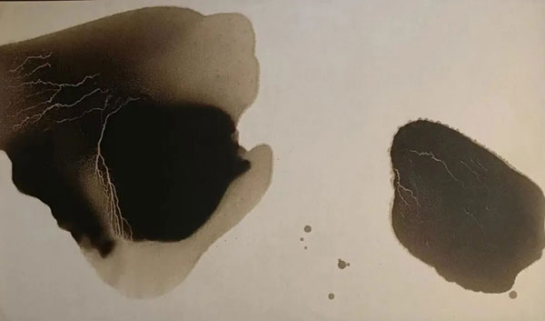 1711630166963358.jpg 20240328164237993417150.jpg