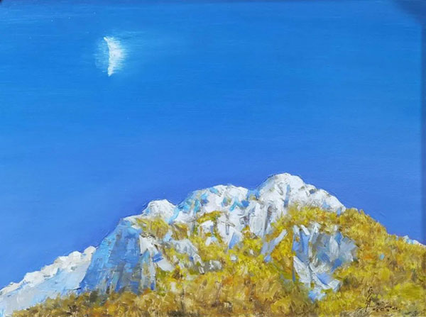 1733049900373603.jpg 202412011005091637053198.jpg