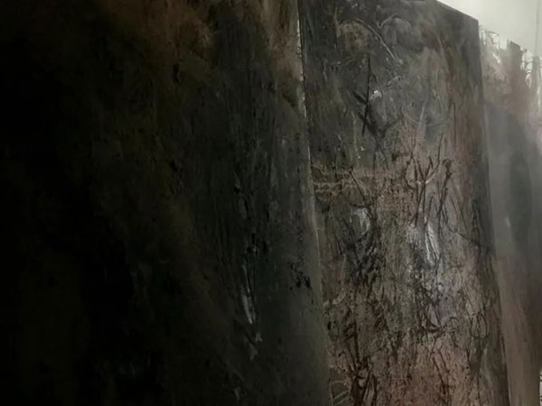 1737829811732076.jpg 89657f502bb2a83f176e069ce57fbc6e.jpg